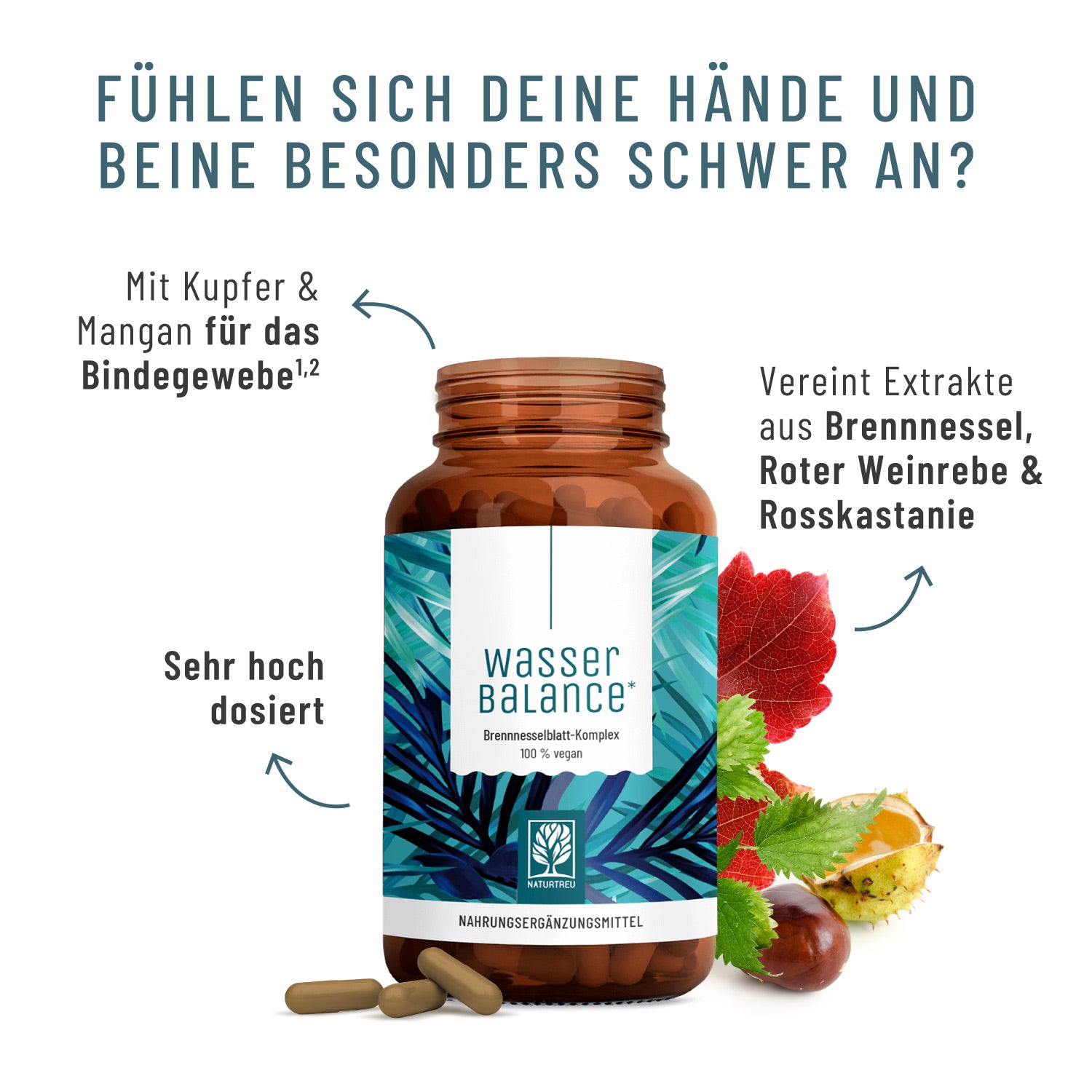 Creative Callout Test WABA