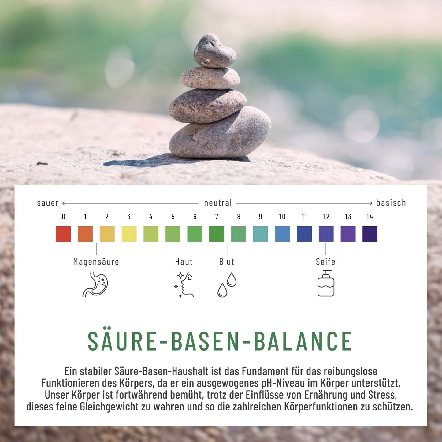 Basenritual Basenpulver mit Phytoessenzen Moodbild