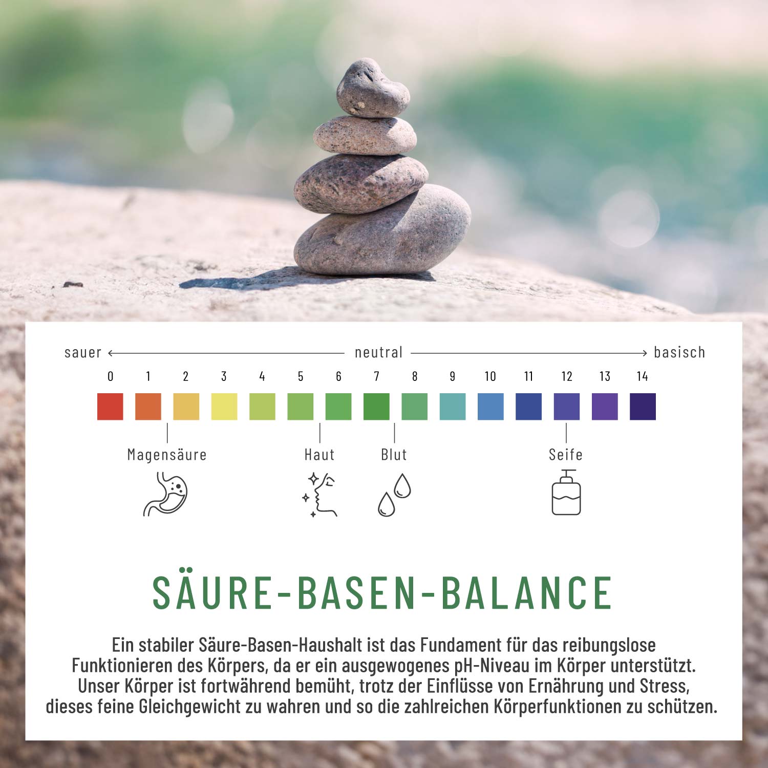 Basenritual Basenpulver mit Phytoessenzen Moodbild