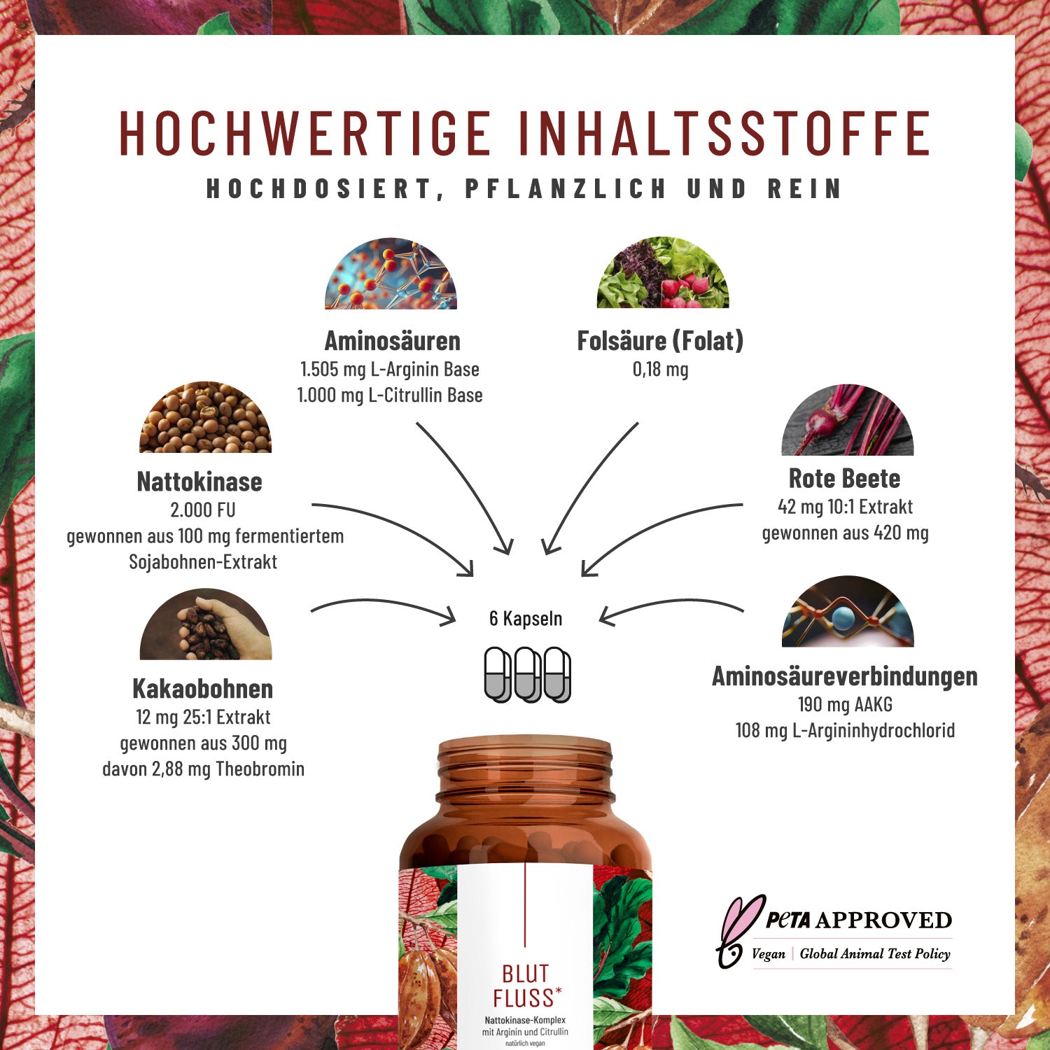 Blutfluss Nattokinase-Komplex mit Arginin und Citrullin Hochwertige Inhaltsstoffe