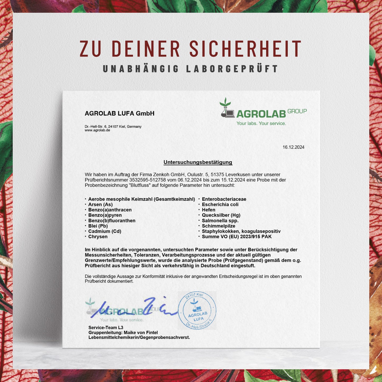 Blutfluss Nattokinase-Komplex mit Arginin und Citrullin Laborzertifikat