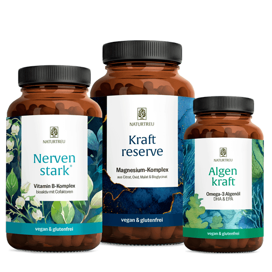 Durchstarter Sparpaket Titelbild