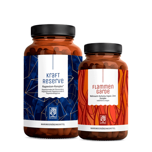 flammengarde kraftreserve Paket Titelbild