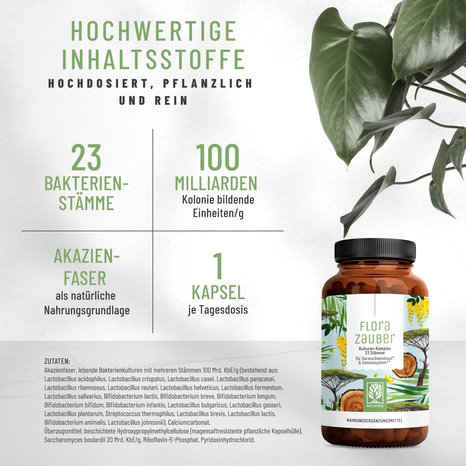Florazauber Kulturen-komplex Hochwertige Inhaltsstoffe