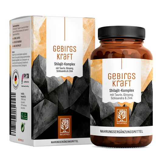 Gebirgskraft Shilajit-Komplex Titelbild