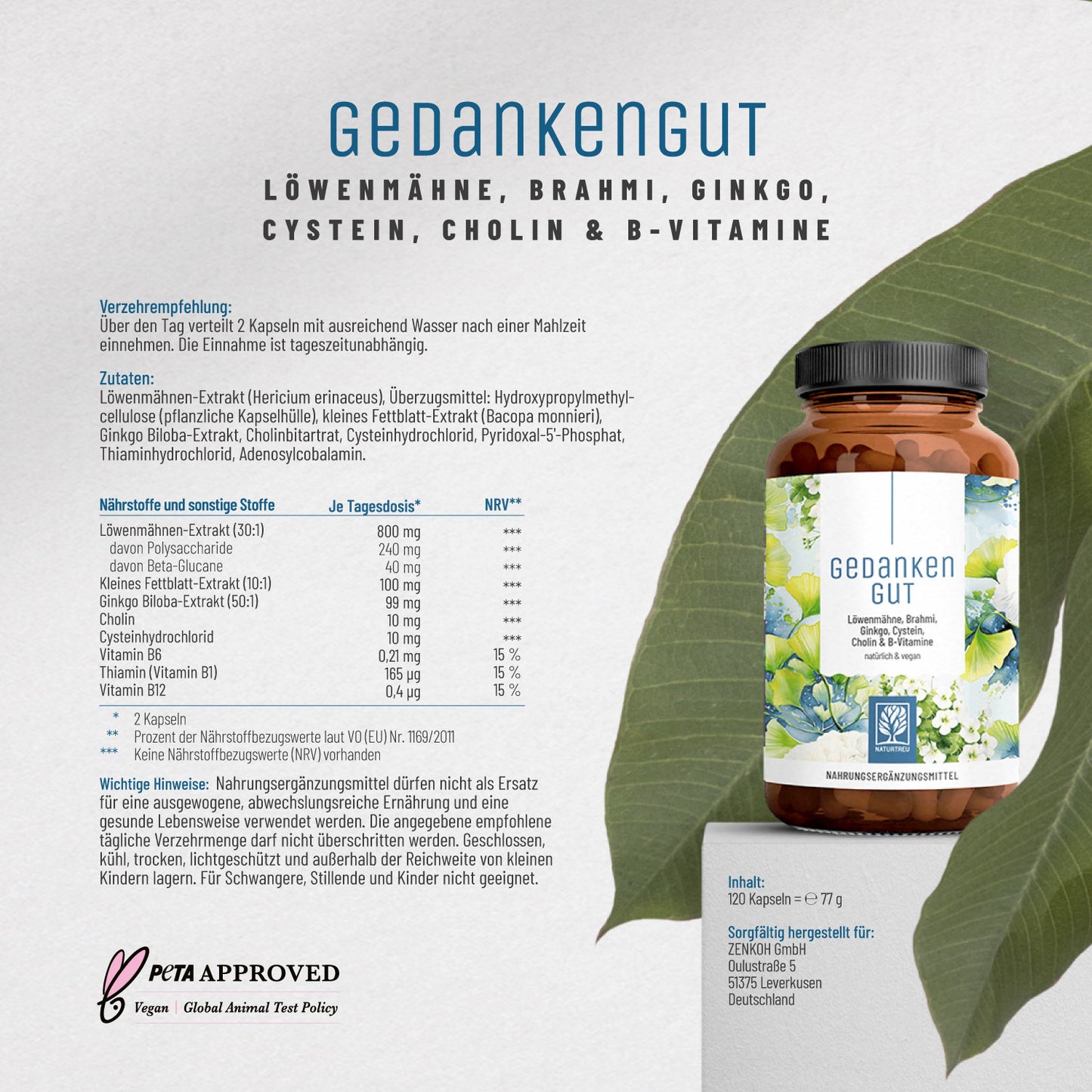 Gedankengut Löwenmähne Brahmi Ginkgo Cystein Cholin B-Vitamine Etikett1_DE