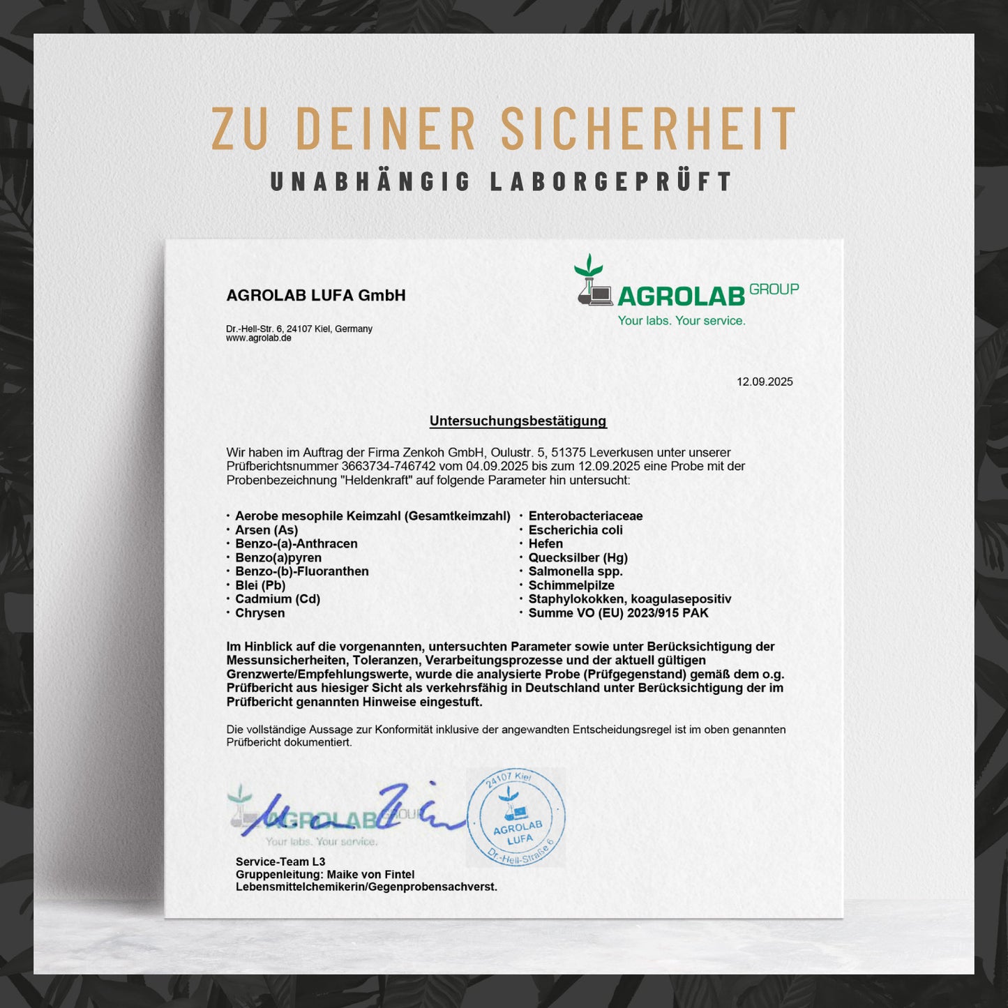 Heldenkraft Maca-Komplex Laborzertifikat