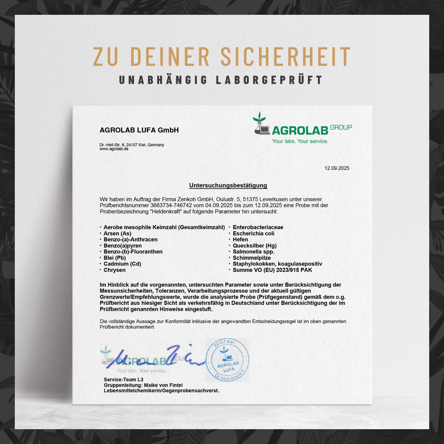 Heldenkraft Maca-Komplex Laborzertifikat