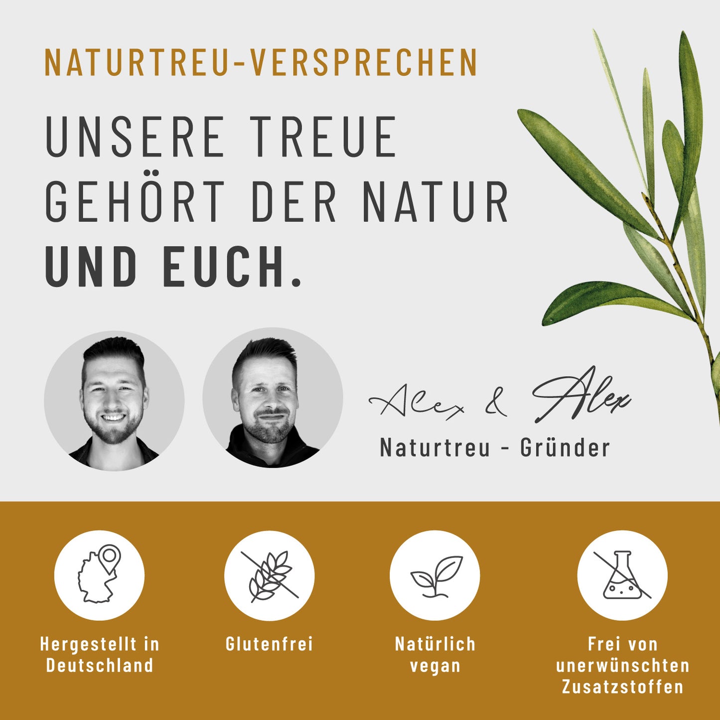 Koenigskurkuma Curcuma-Komplex_Onlineshop Naturtreu Versprechen