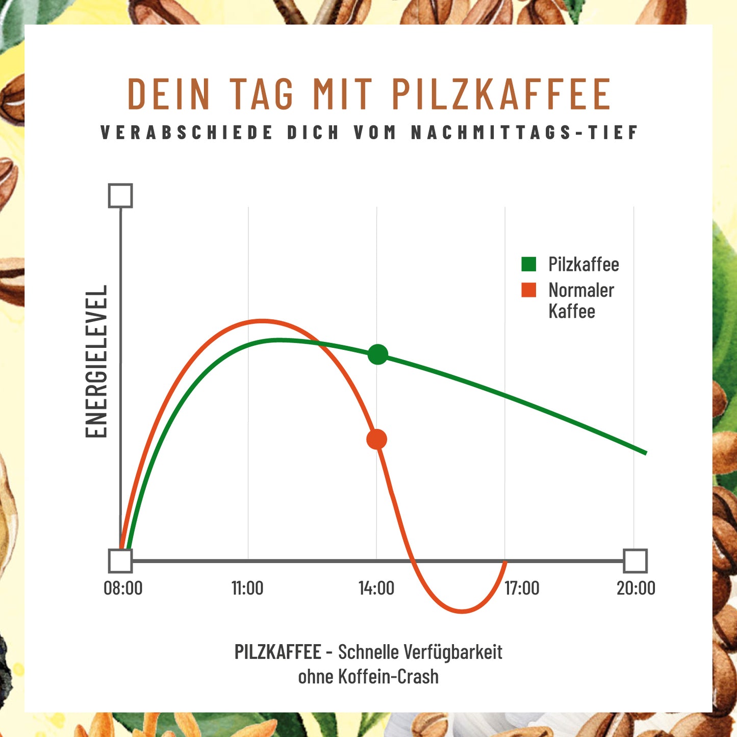 Pilzkaffee Kaffeegetraenkepulver Moodbild Koffeinkurve