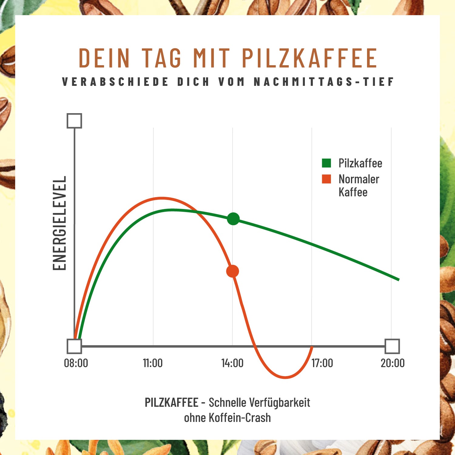 Pilzkaffee Kaffeegetraenkepulver Moodbild Koffeinkurve