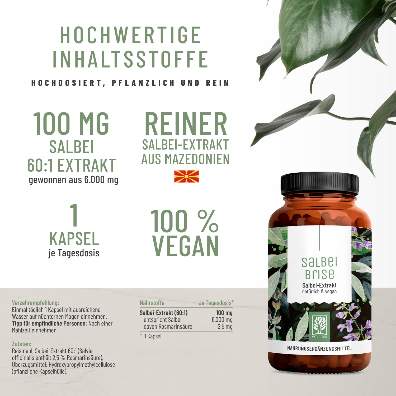 Salbeibrise Salbei-Extrakt Hochwertige Inhaltsstoffe