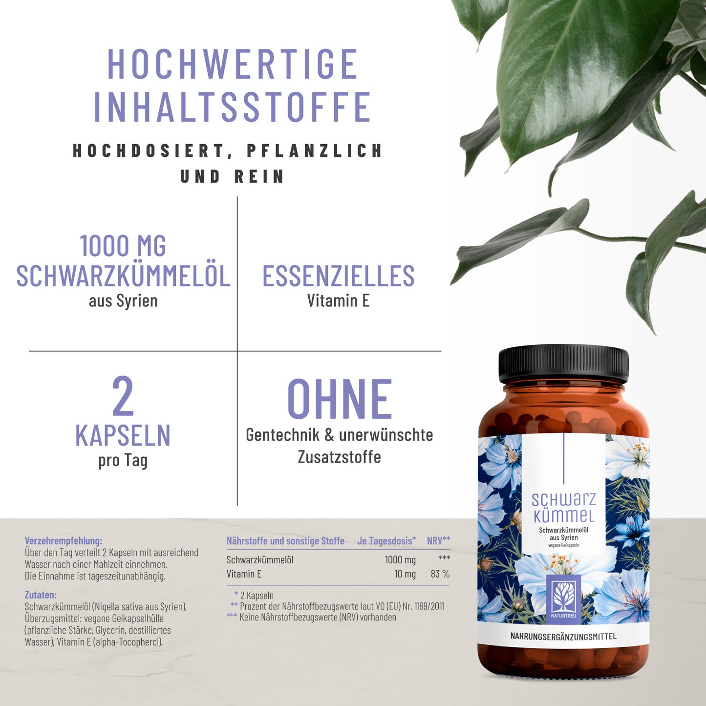 Schwarzkuemmel Schwarzkuemmeloel Hochwertige Inhaltsstoffe