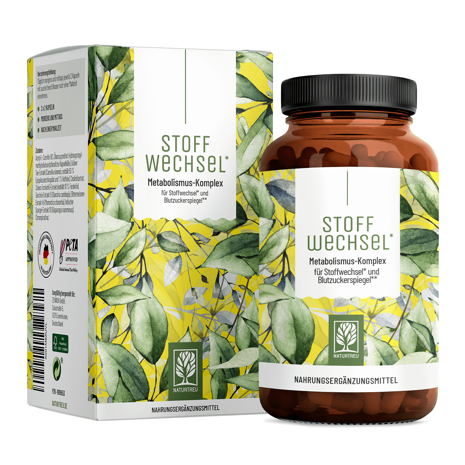 Stoffwechsel Metabolismus-Komplex Titelbild