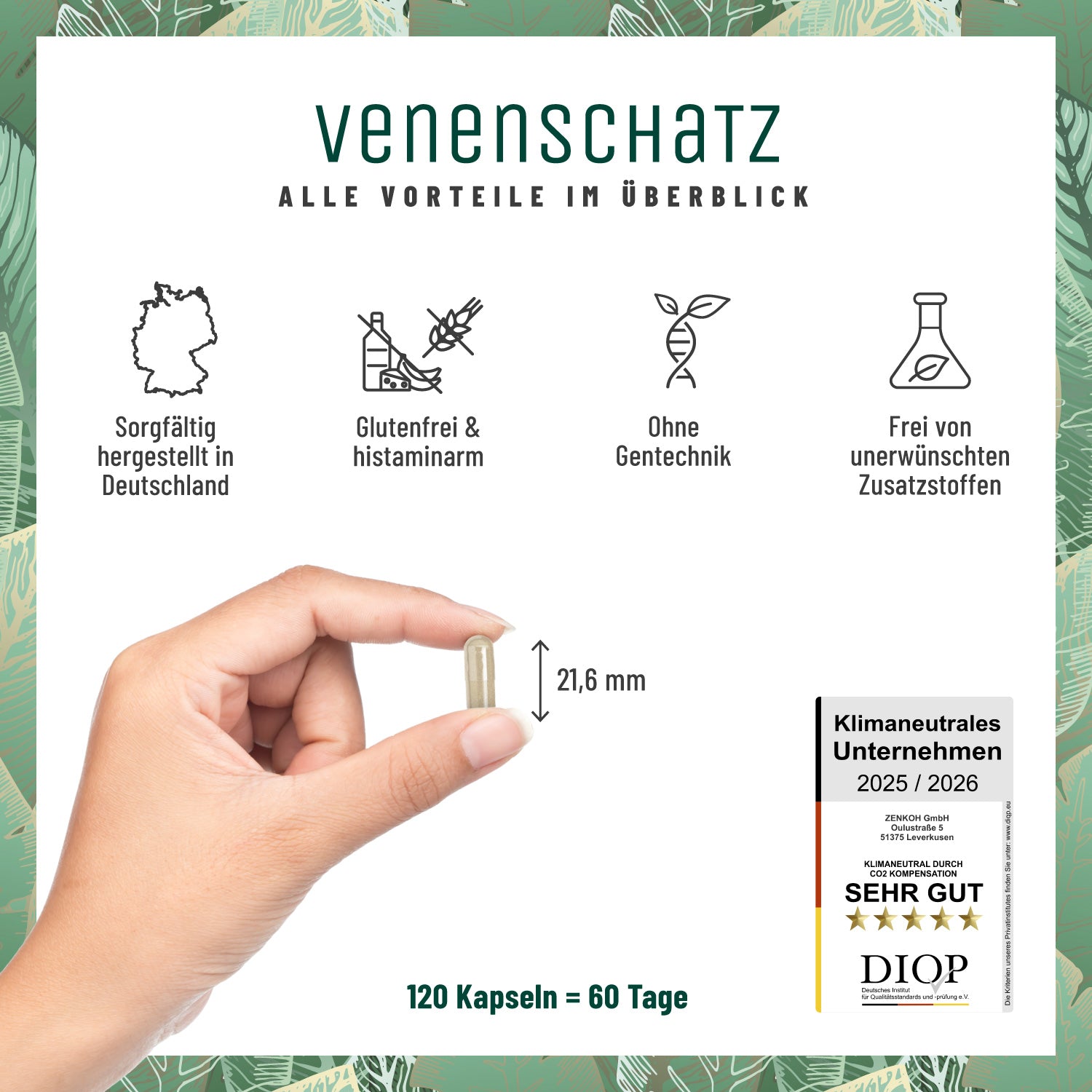 Venenschatz Rutin Steinklee Alle Vorteile