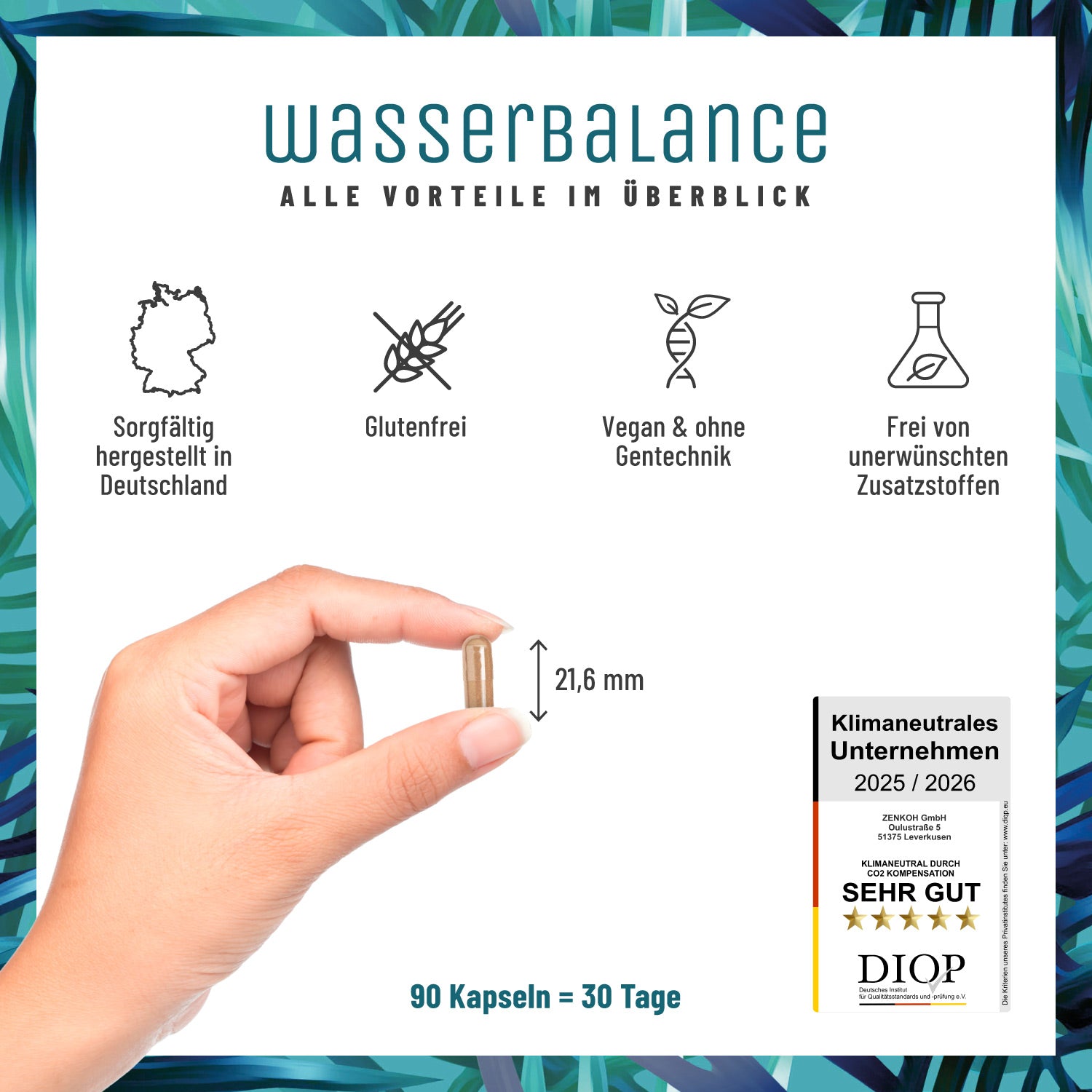 Wasserbalance Brennessel-Komplex Alle Vorteile