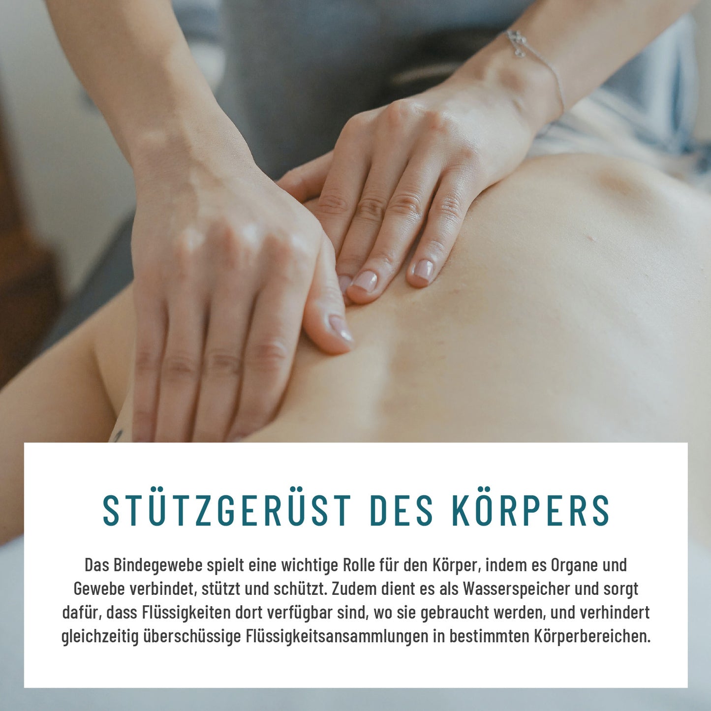 Wasserbalance Brennessel-Komplex Moodbild