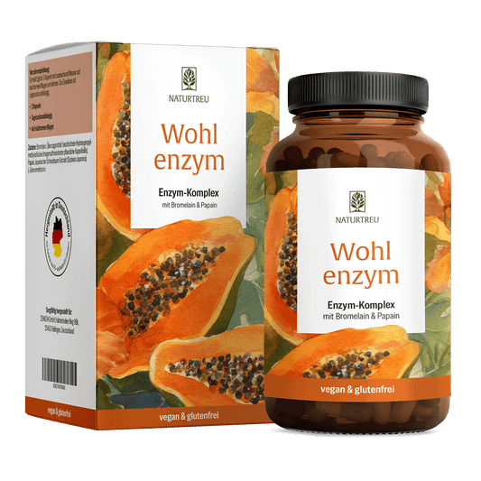 Wohlenzym Enzym Komplex mit Bromelain Papain Titelbild