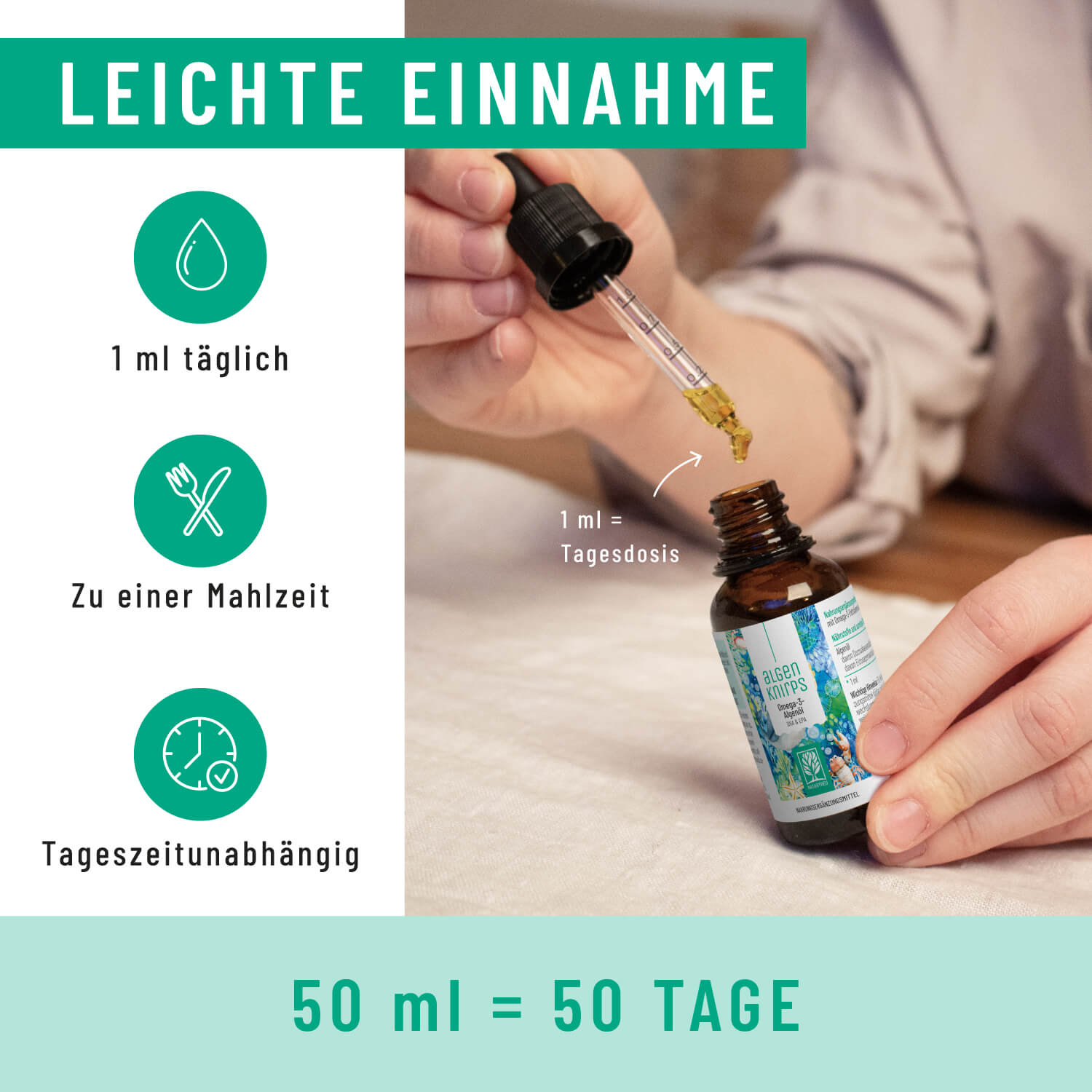 Onlineshop Creative Set Algenknirps Einnahme