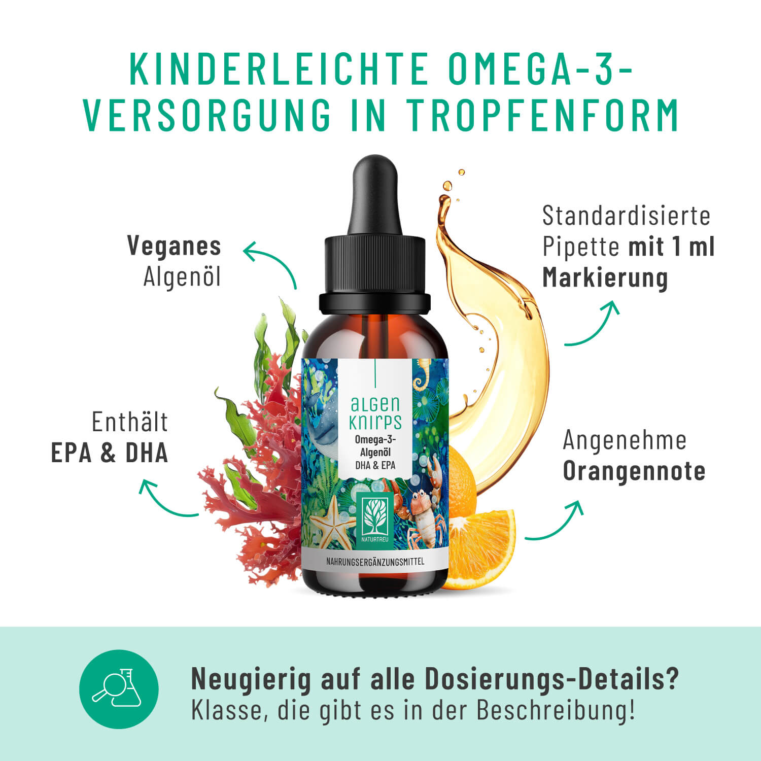 Onlineshop Creative Set Algenknirps Inhaltsstoffe