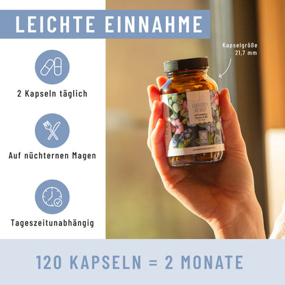 Lungenkraut Einnahme