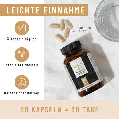 Heldenkraft Einnahme