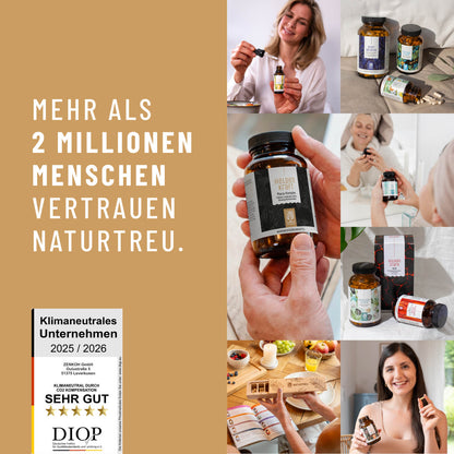 Heldenkraft Testimonials