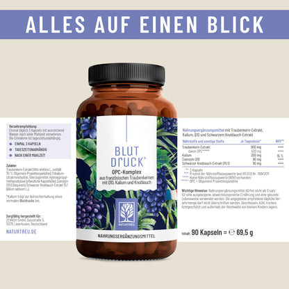 Blutdruck: OPC-Komplex mit Q10, Kalium und Knoblauch