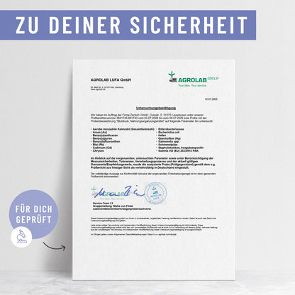 Blutdruck: OPC-Komplex mit Q10, Kalium und Knoblauch