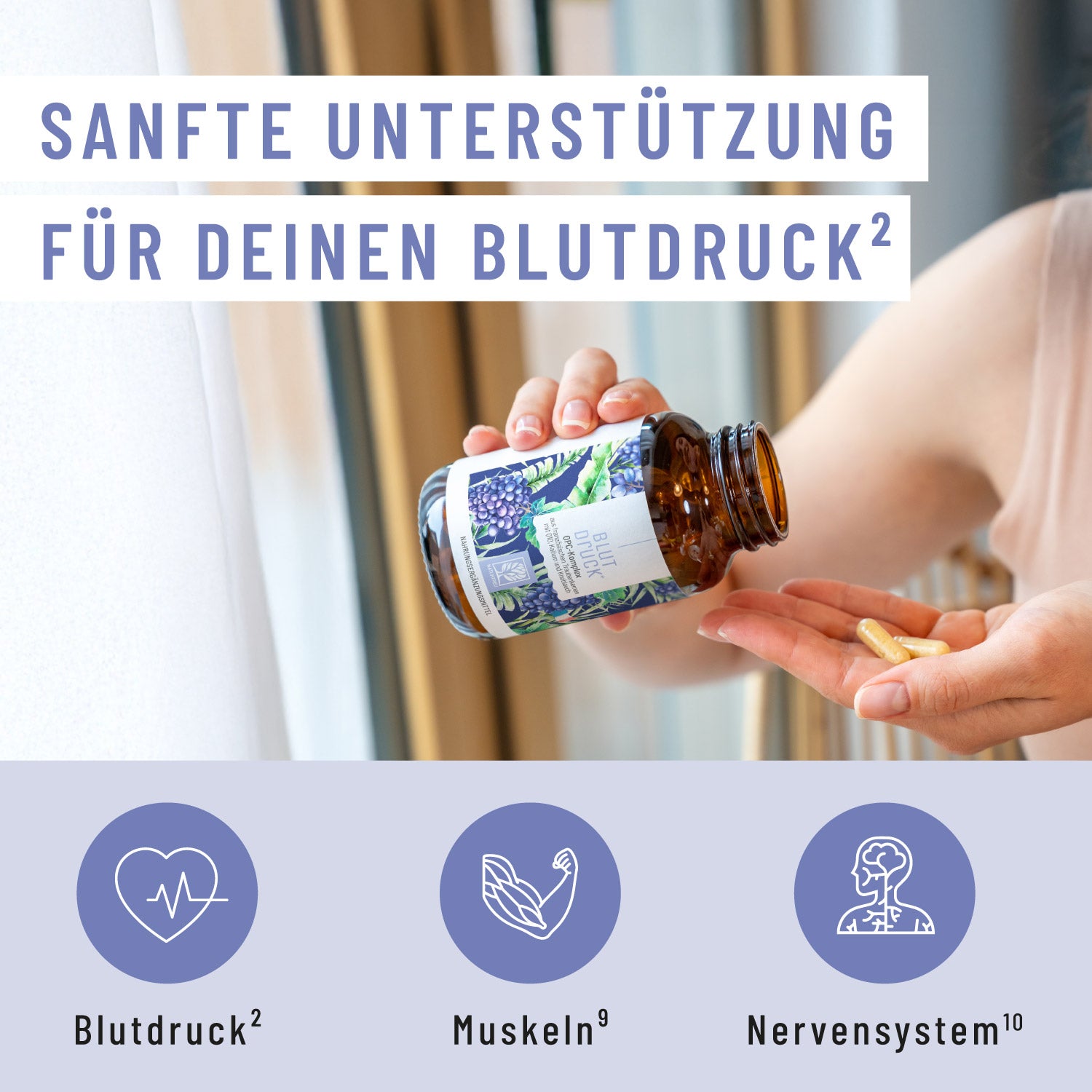 Wirkungscreatives starke jahre Paket BLDR