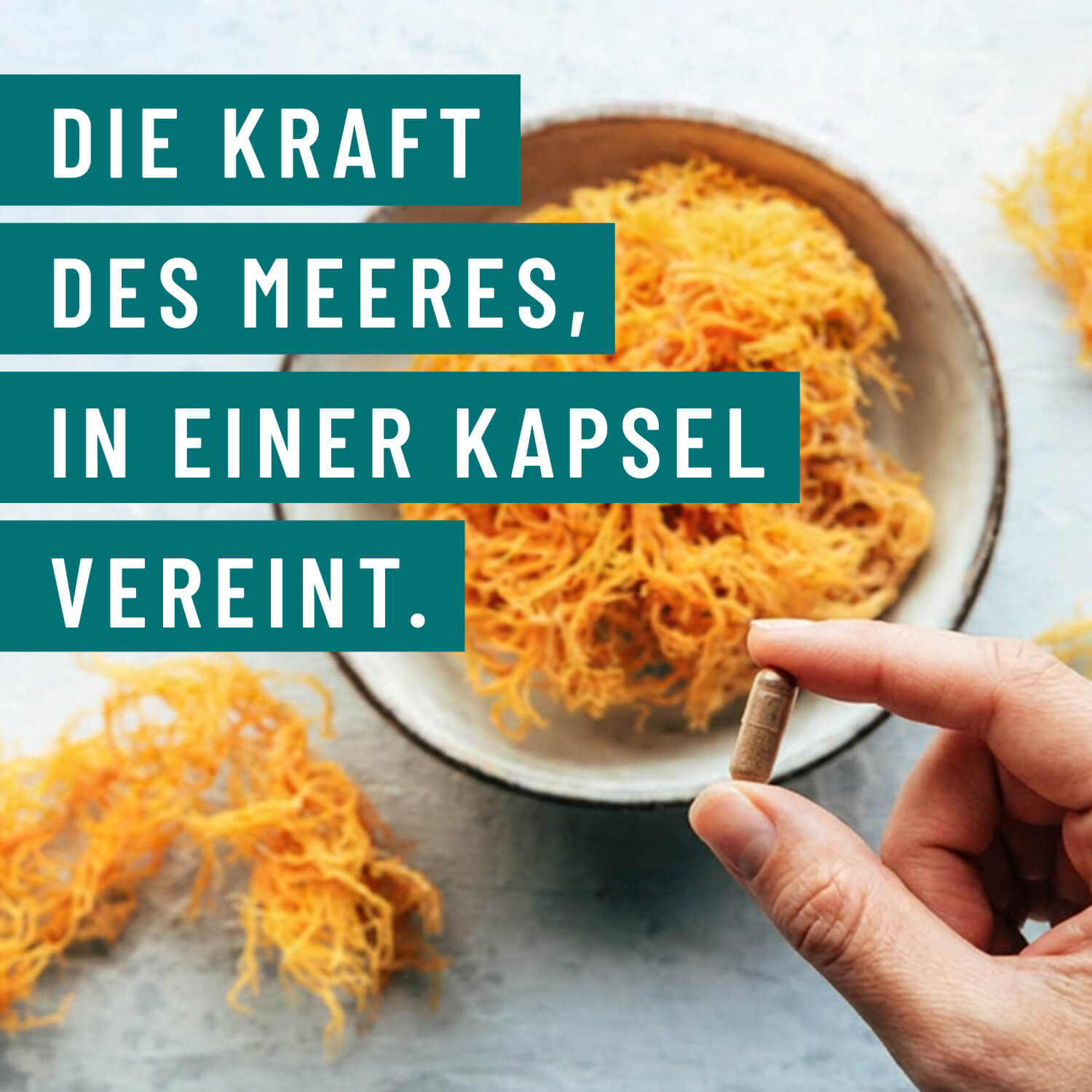 Meeresperle Kraft des Meeres