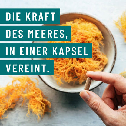 Meeresperle Kraft des Meeres