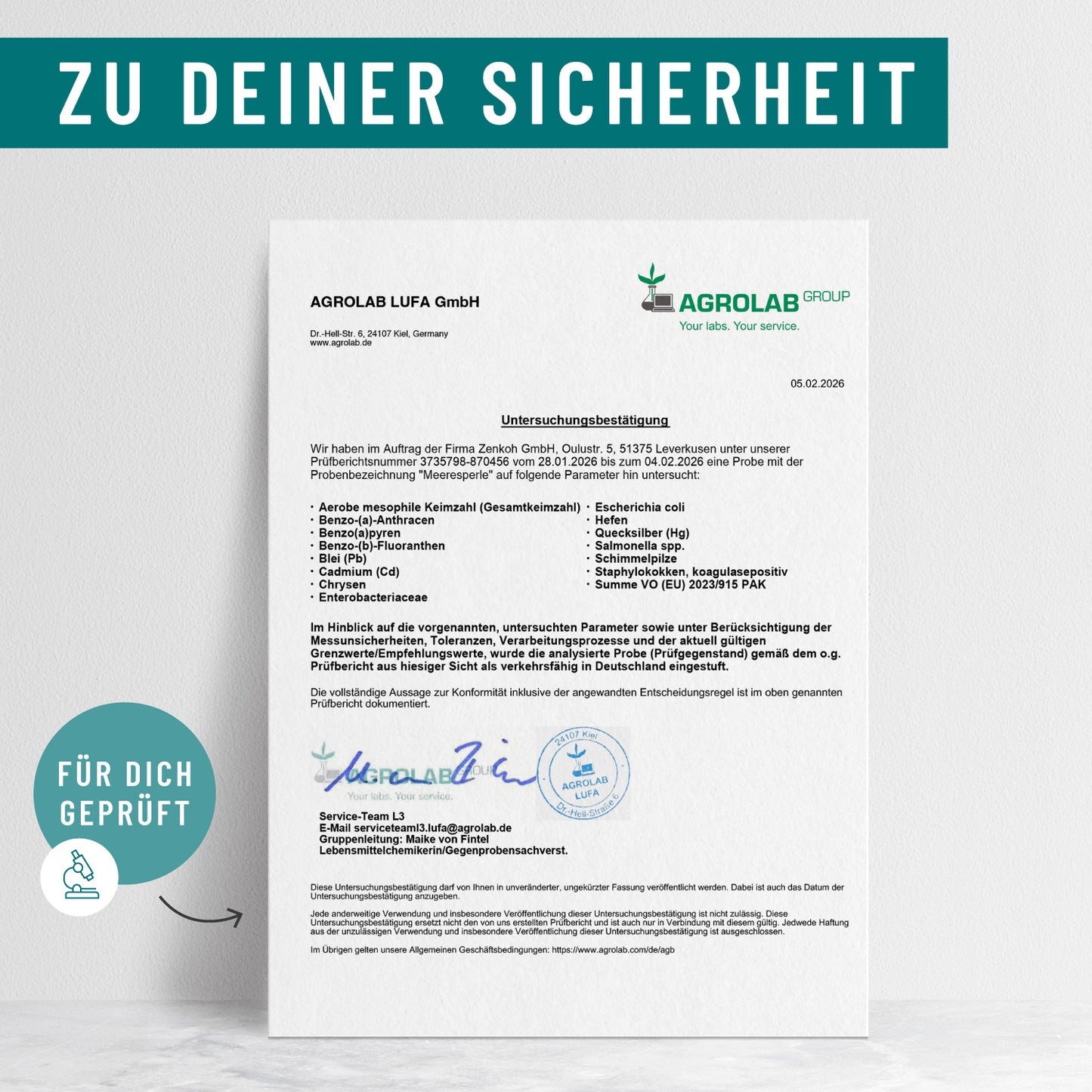 Meeresperle: Irish Sea Moss