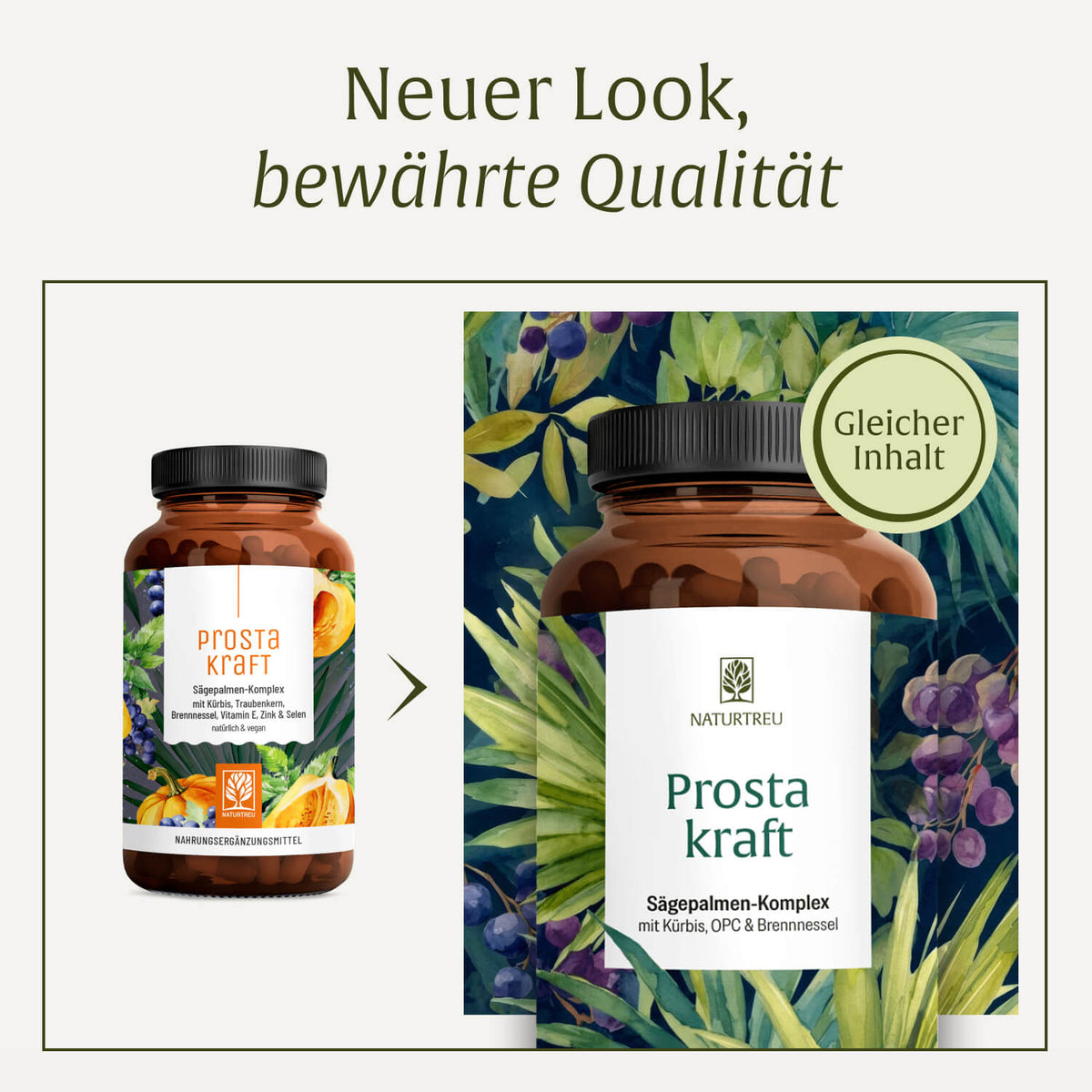 Prostakraft Neues Design