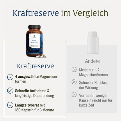 Basisversorgung Sparpaket: Kraftreserve & Sonnenfreund