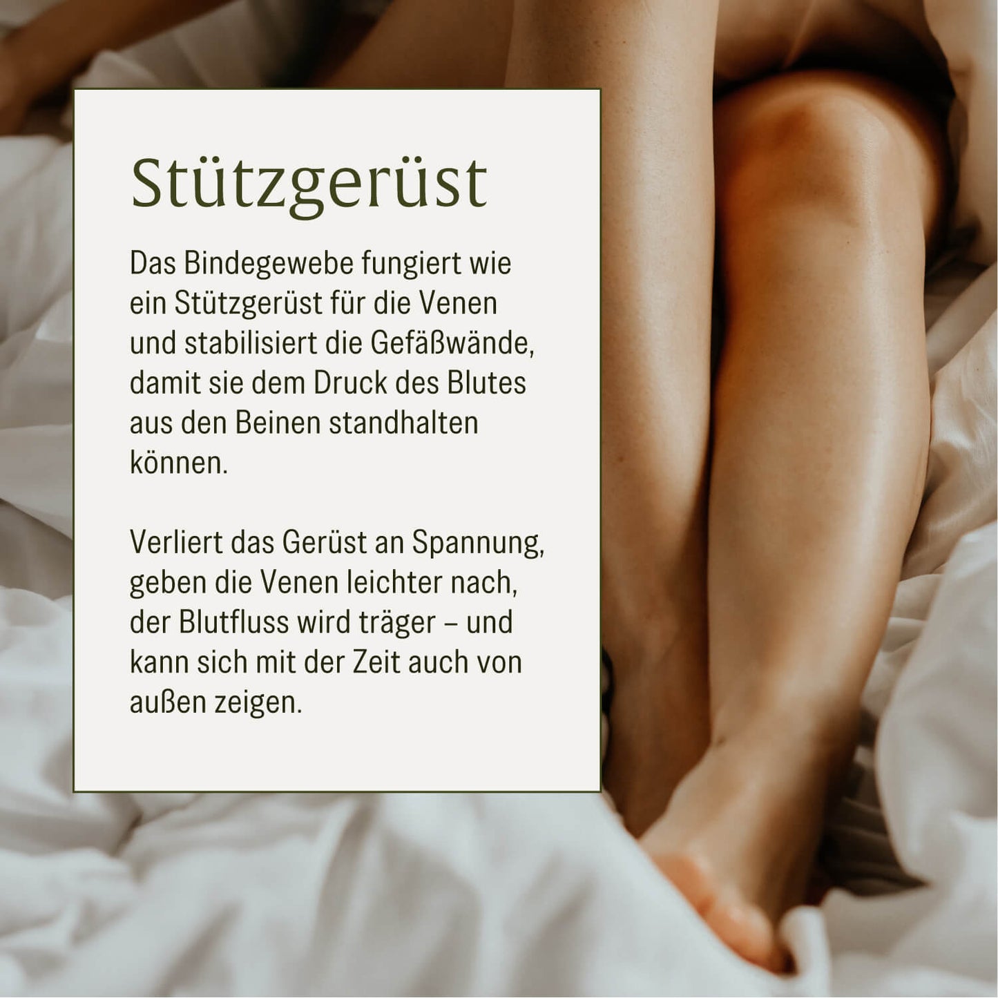 Venenschatz: Rutin & Steinklee Komplex