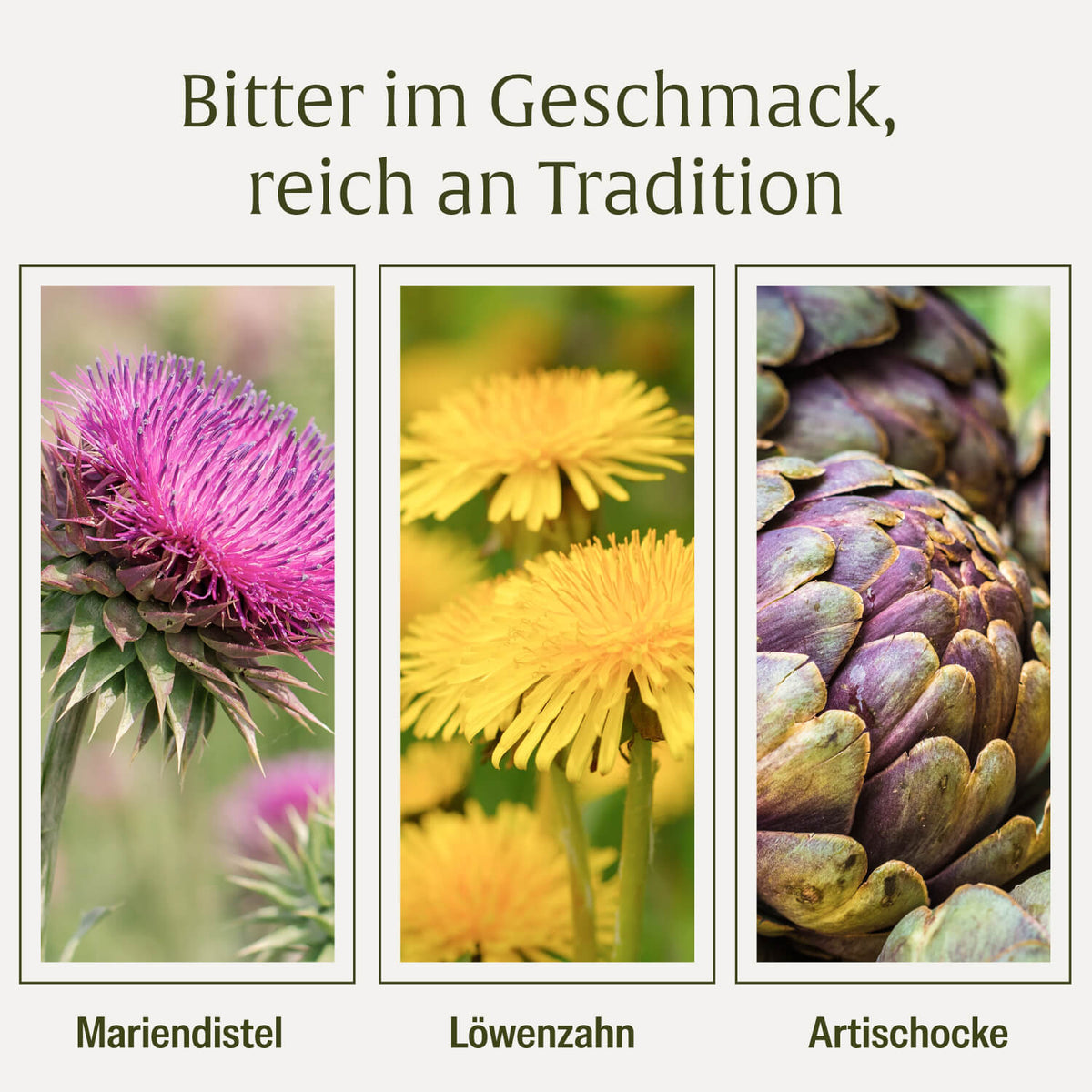 BLRE Bluetenrein Creatives DE Onlineshop Pflanzen und Bitterstoffe