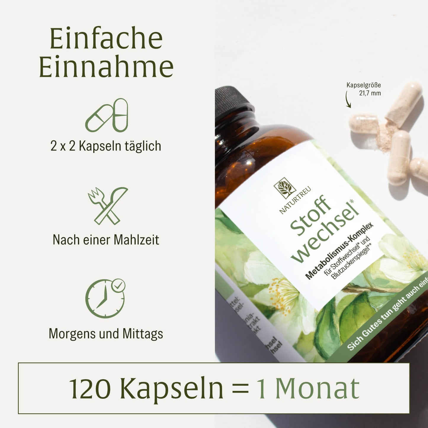 Stoffwechsel: Metabolismus-Komplex für Stoffwechsel* und Blutzuckerspiegel**