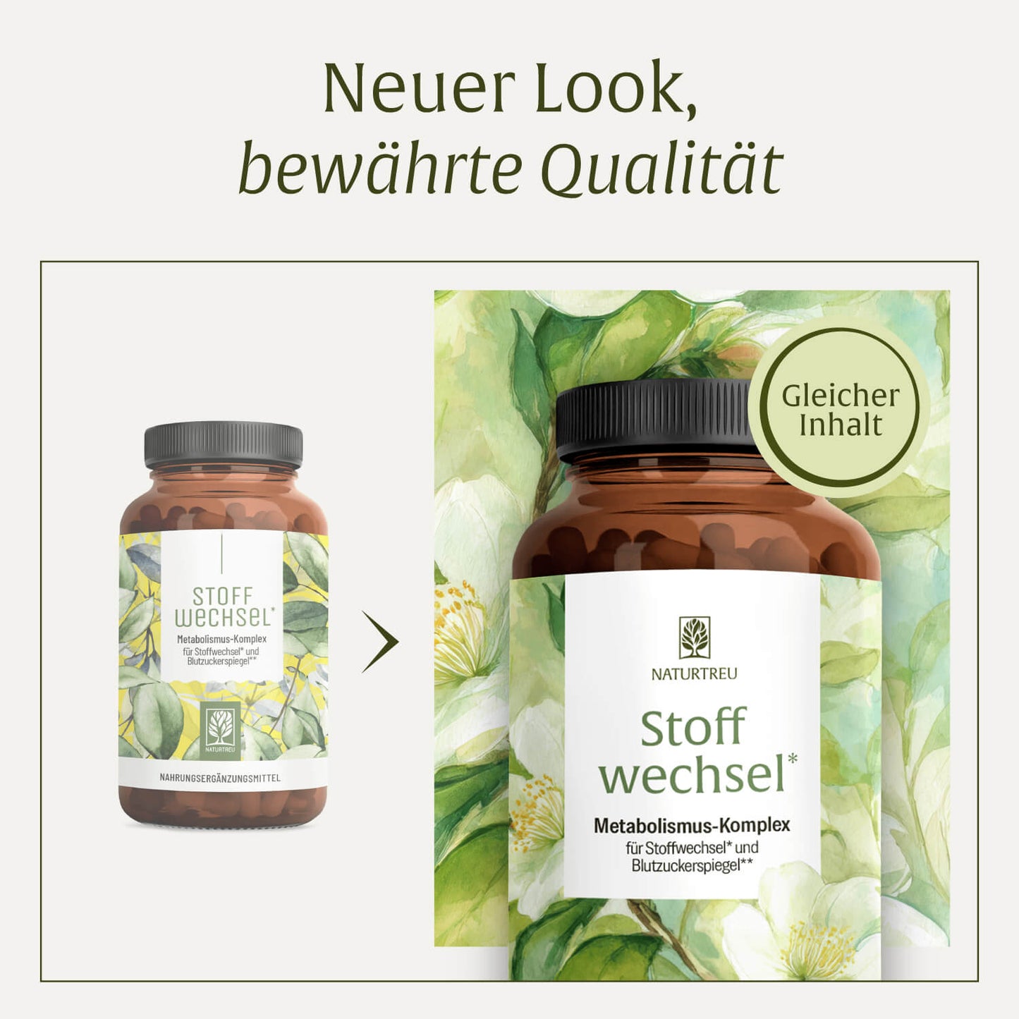 Stoffwechsel: Metabolismus-Komplex für Stoffwechsel* und Blutzuckerspiegel**