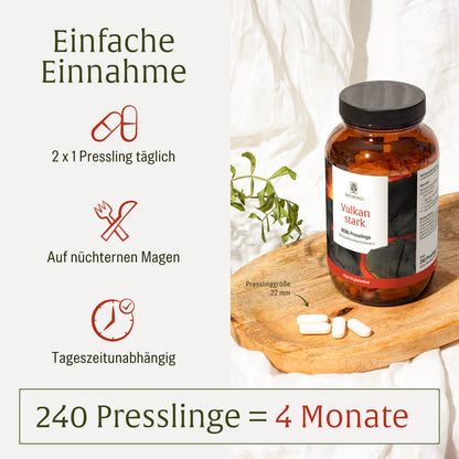 Vulkanstark: MSM-Komplex mit Vitamin C