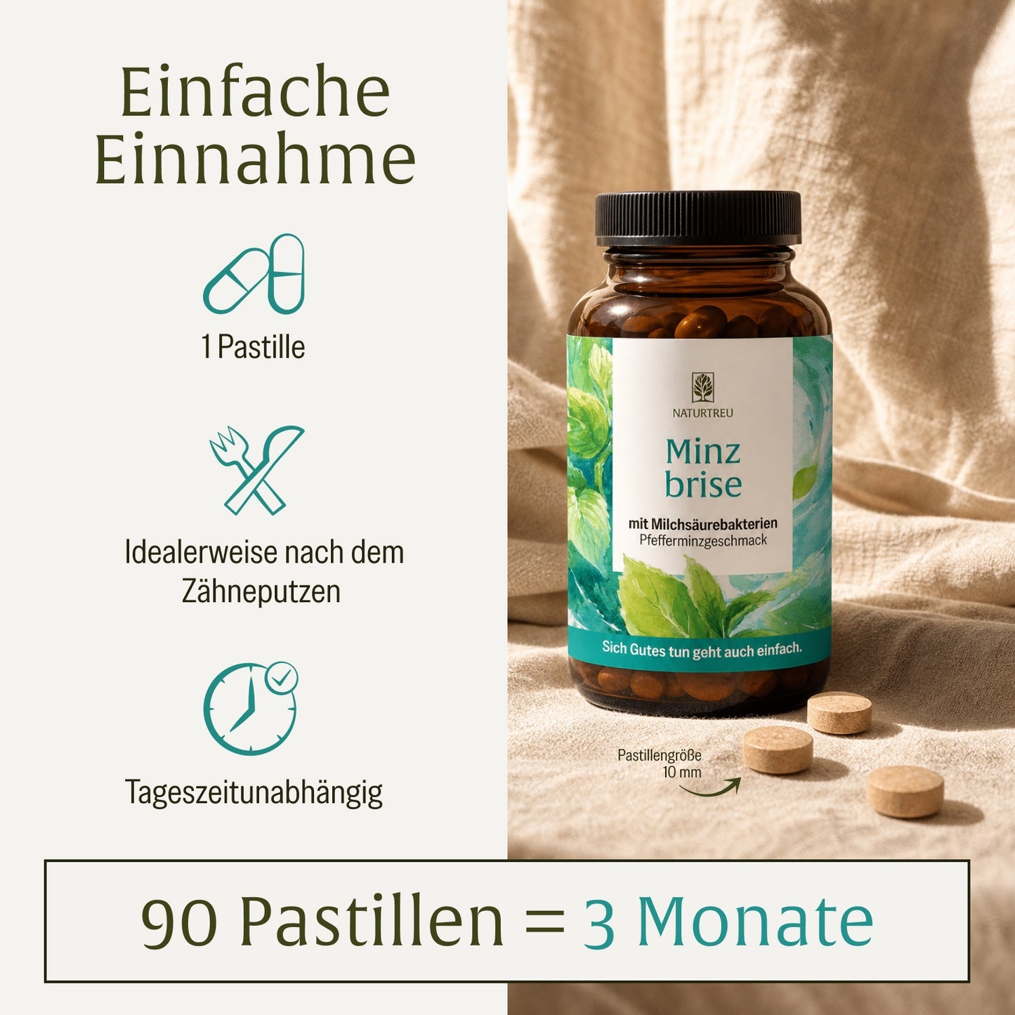 Minzbrise mit Milchsäurebakterien