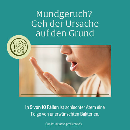 Minzbrise mit Milchsäurebakterien