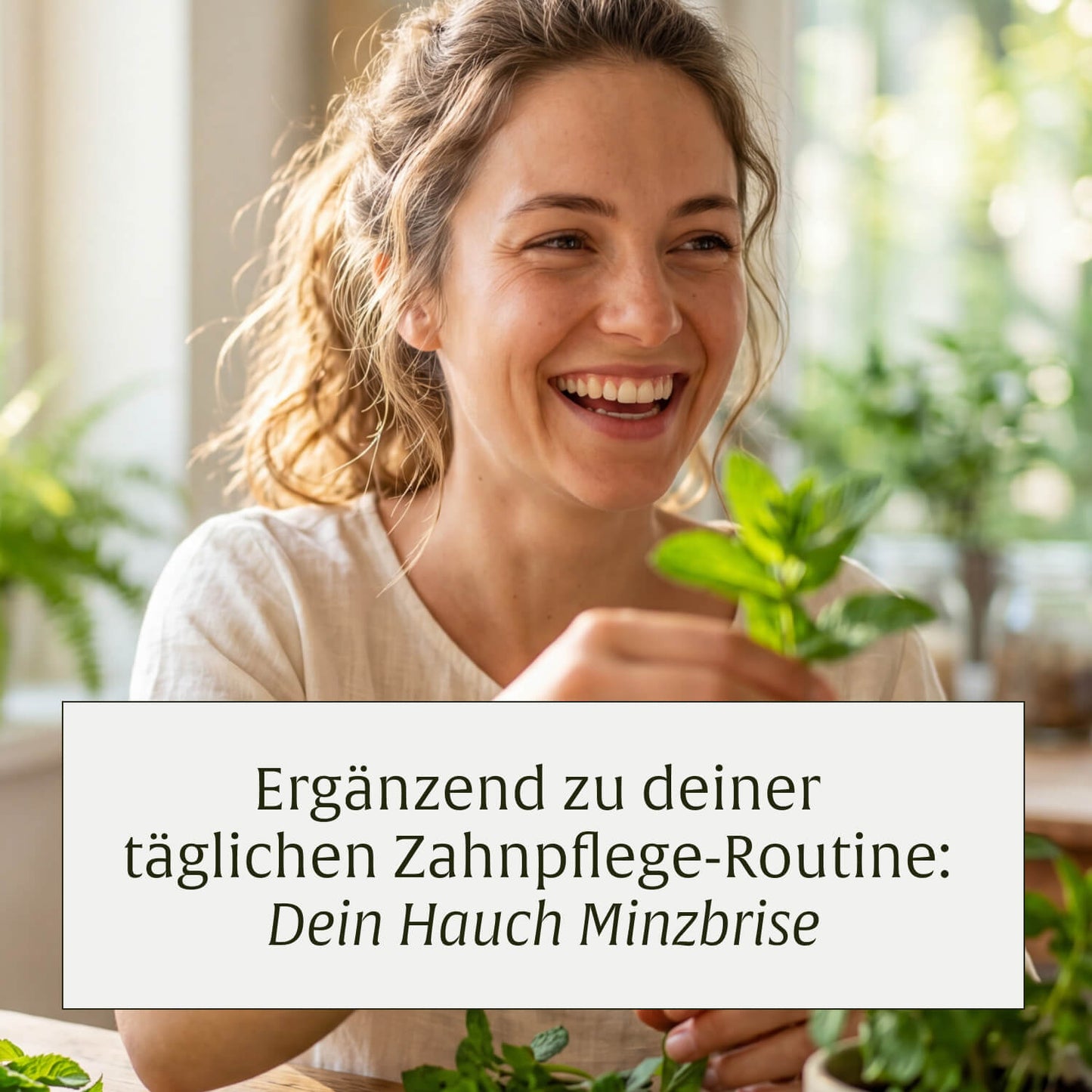 Minzbrise mit Milchsäurebakterien
