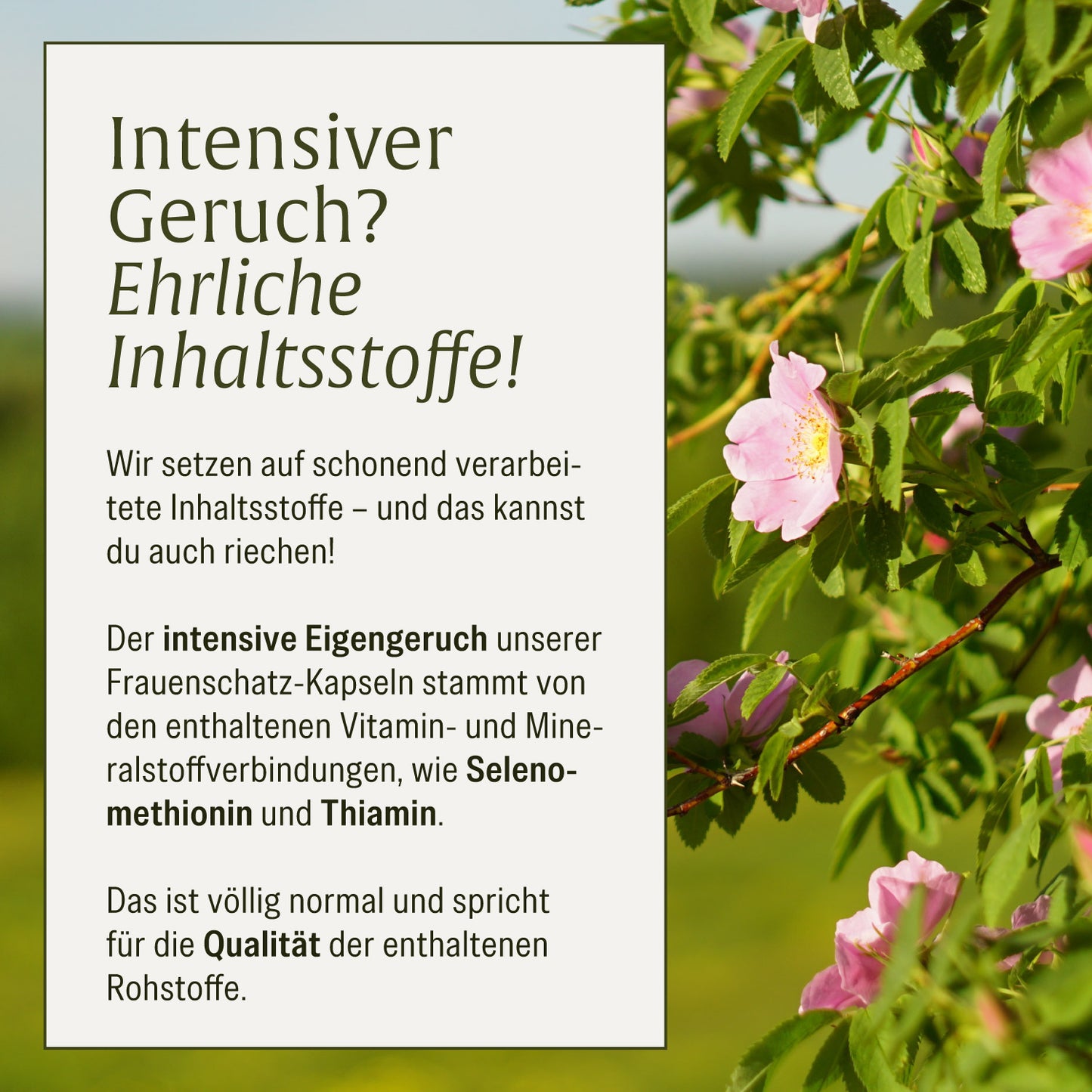 Frauenschatz: Vitamine und Mineralstoffe speziell für Frauen