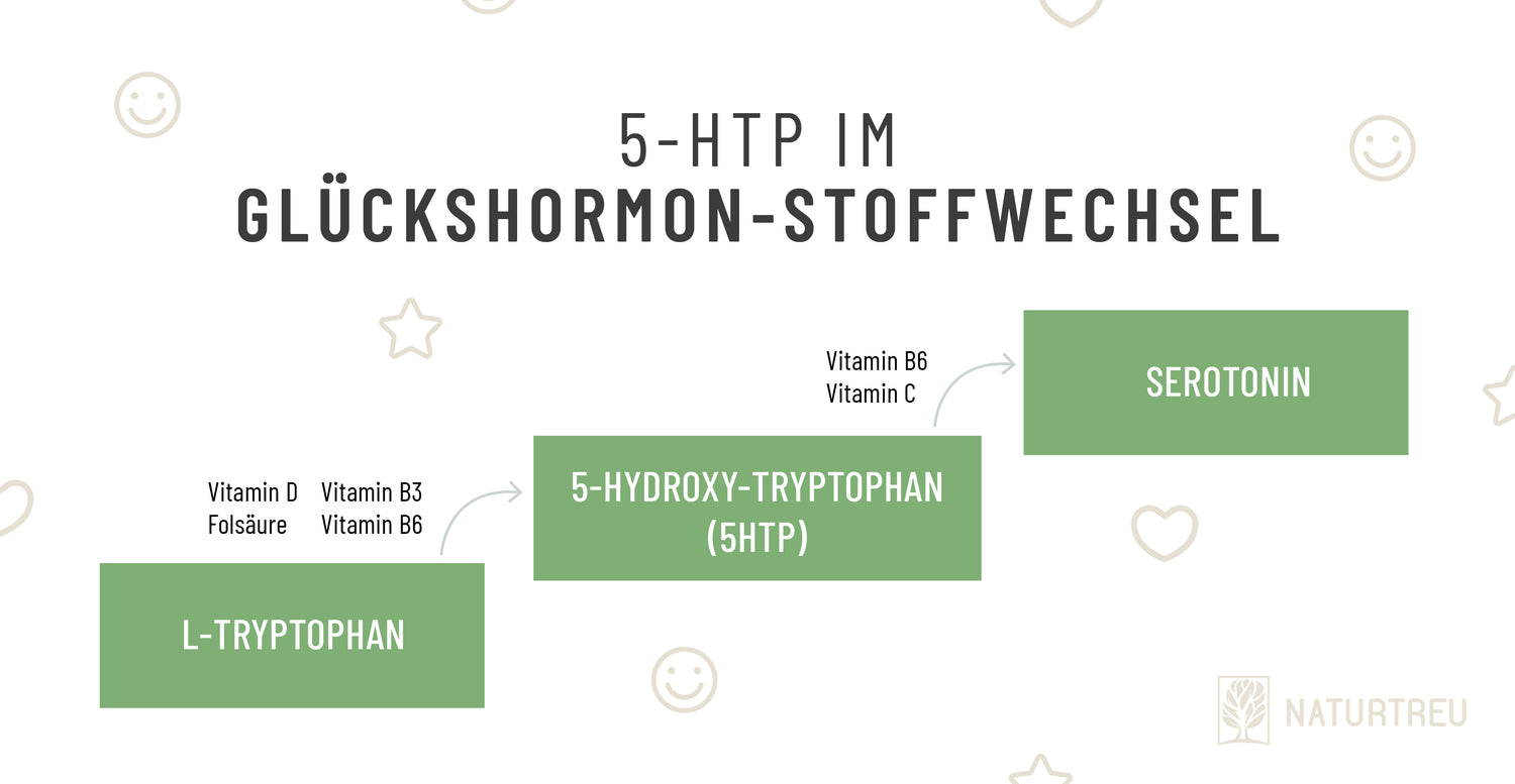 5 HTP_Landingpage_Glücksbote.jpg__PID:35275f44-ab9c-4398-af9a-c2027c87d63b