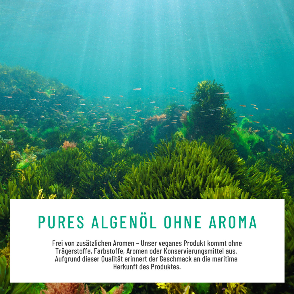 Algenkraft Omega3 Algenoel DHA EPA Moodbild Geschmack 