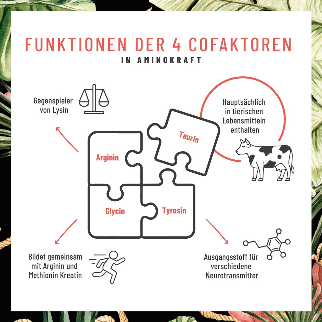 Aminokraft Aminosäuren Komplex Cofaktoren