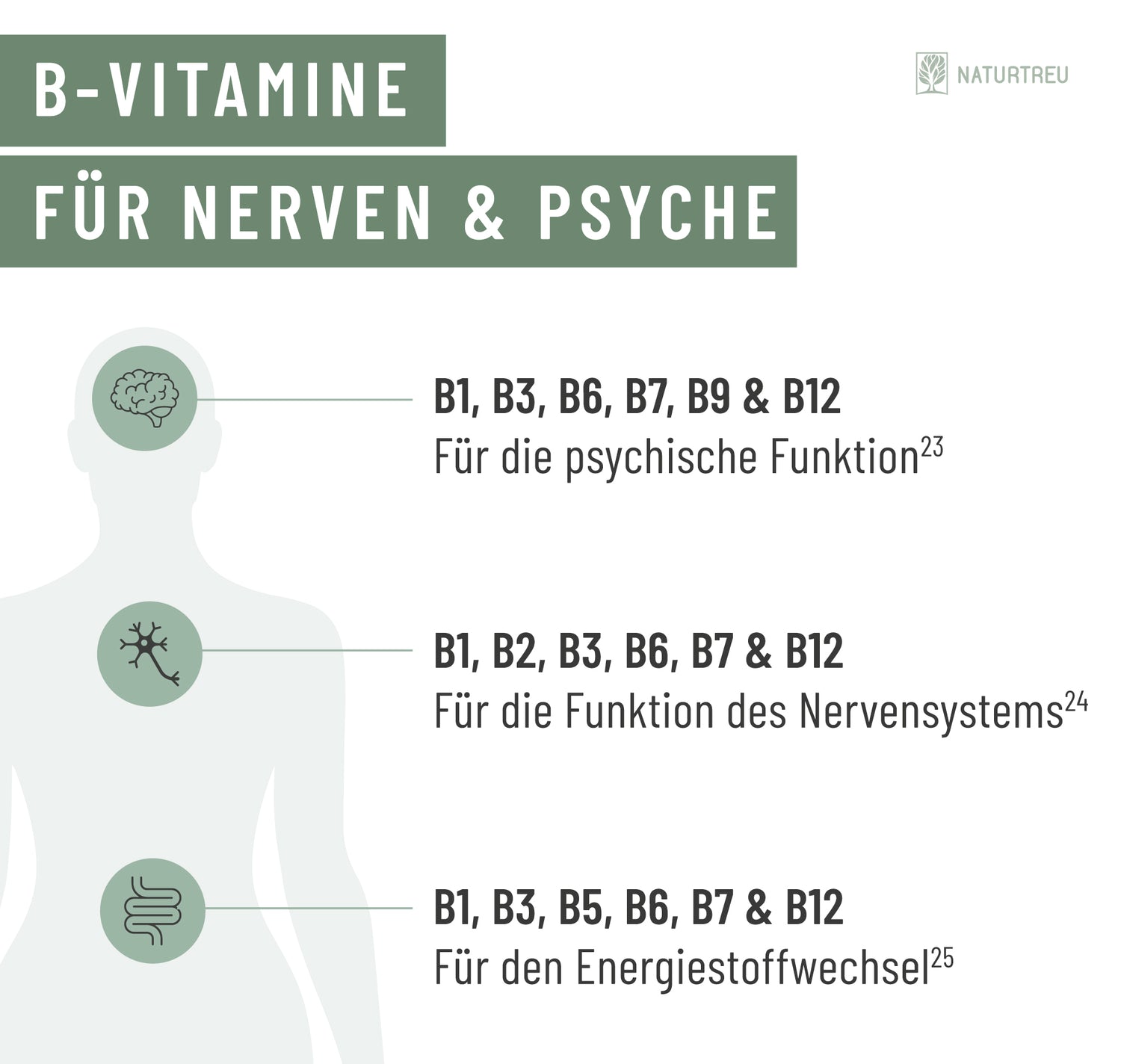 B-Vitamine Nerven Psyche