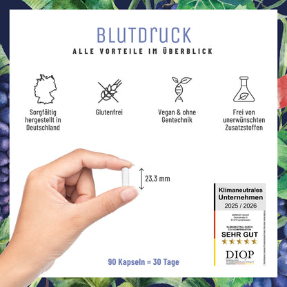 Blutdruck Alle Vorteile