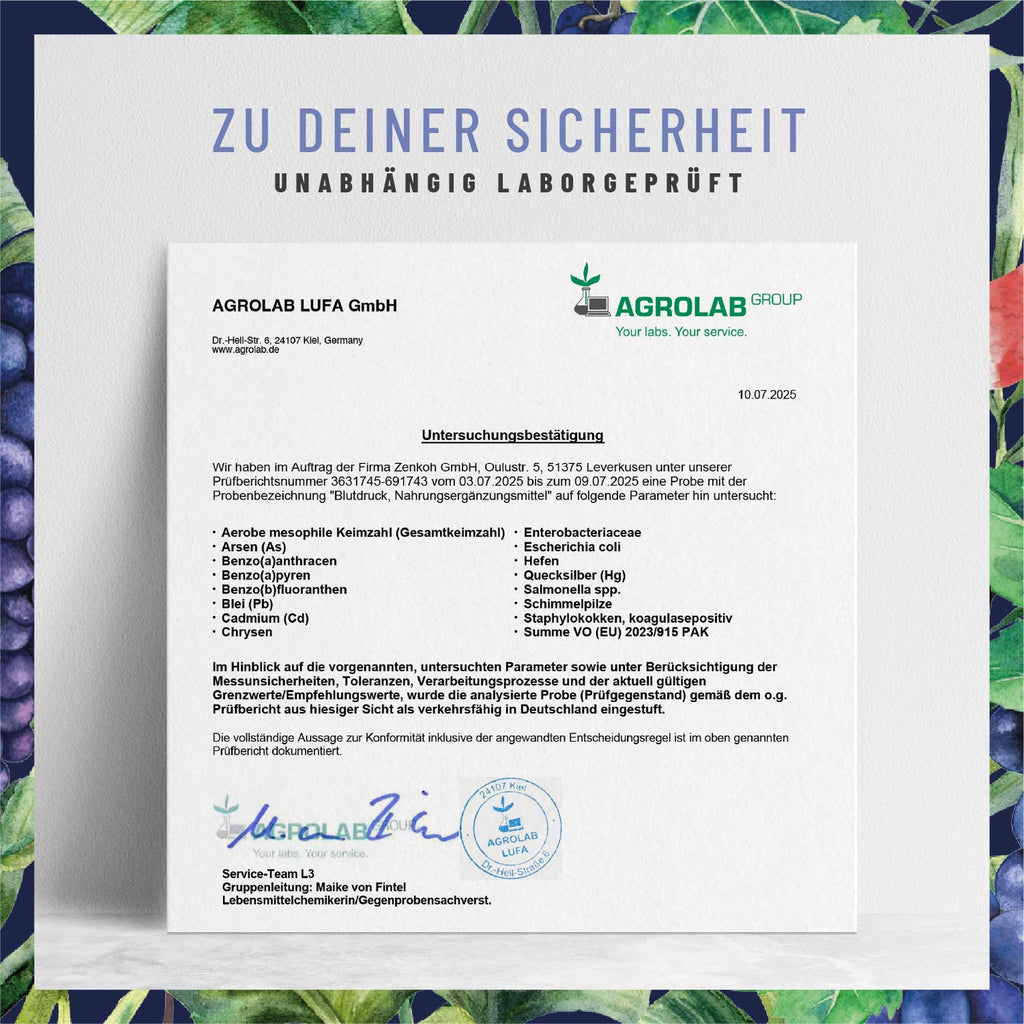 Blutdruck OPC Komplex Laborbild